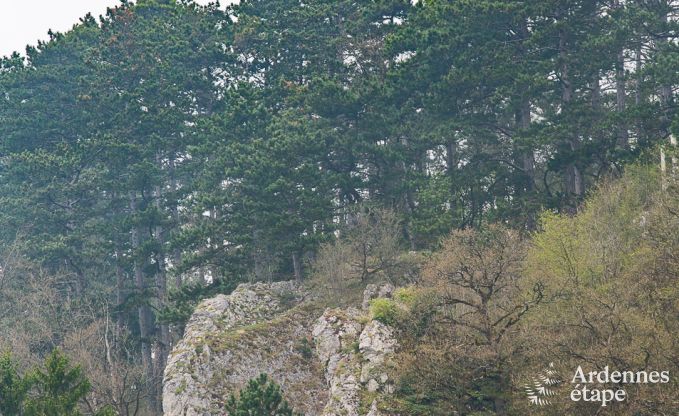 Vakantiehuis in Durbuy voor 6 personen in de Ardennen