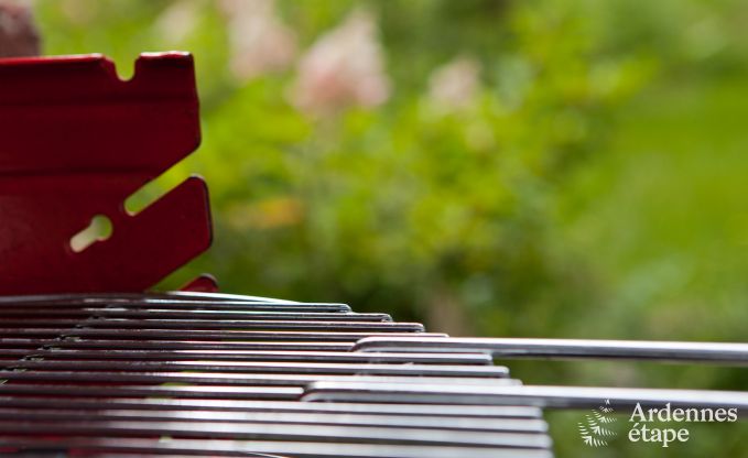 Kasteel in Durbuy voor 15 personen in de Ardennen