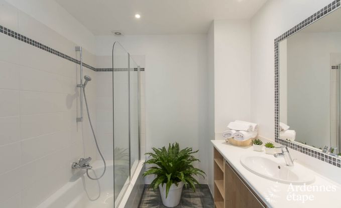 Vakantiehuis in Durbuy voor 11/12 personen in de Ardennen