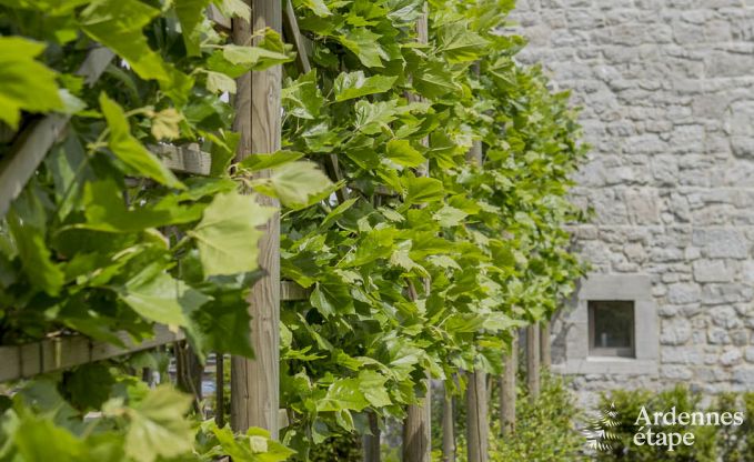 Vakantiehuis in Durbuy voor 11/12 personen in de Ardennen