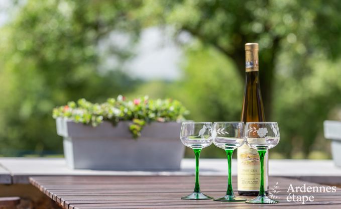 Vakantiehuis in Durbuy voor 3 personen in de Ardennen