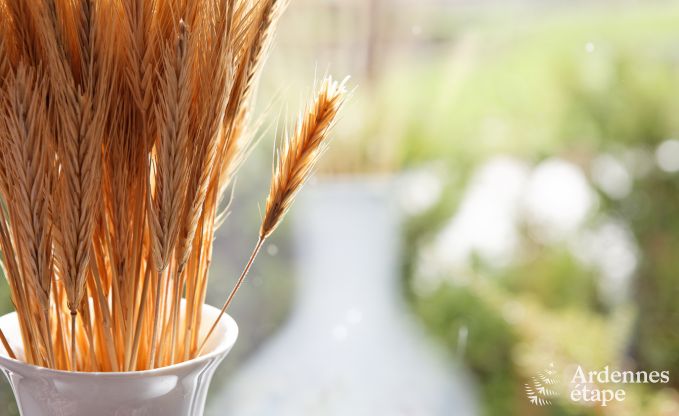 Ruim vakantiehuis in Durbuy: 26 personen, 9 kamers, hart van de Ardennen