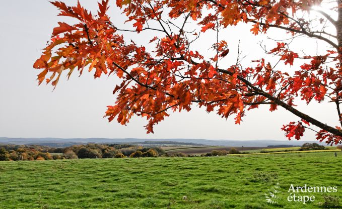Ruim vakantiehuis in Durbuy: 26 personen, 9 kamers, hart van de Ardennen