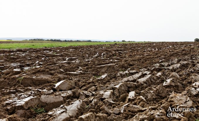Ruim vakantiehuis in Durbuy: 26 personen, 9 kamers, hart van de Ardennen