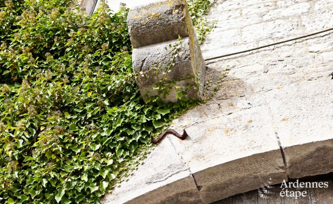 Vakantiehuis in Durbuy: 32 personen, 12 kamers, priv�tuin, hart van de Belgische Ardennen