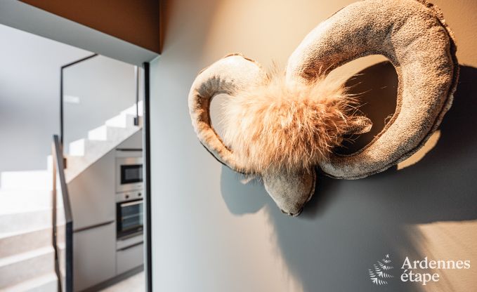 Vakantiehuis in Durbuy voor 2/4 personen in de Ardennen