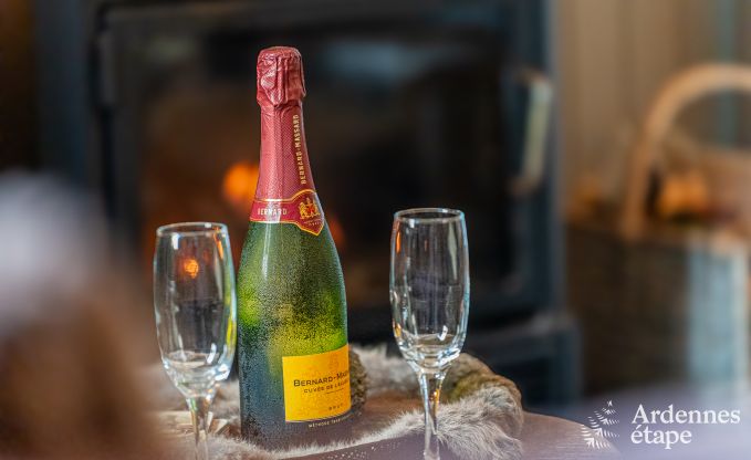 Charmante vakantiewoning voor 6 personen in �rez�e met 3 slaapkamers, priv�terras en houtkachel nabij de rustige Aisne-rivier