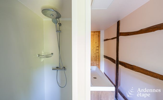 Vakantiehuis met overgedekte jacuzzi in Erez�e voor 16 personen in de Ardennen