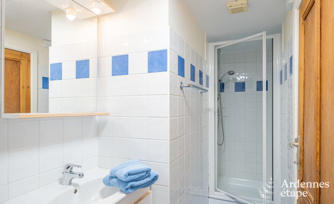 Ruim vakantiehuis voor 32 personen in Ferri�res met 12 slaapkamers, sauna, jacuzzi en speelvoorzieningen