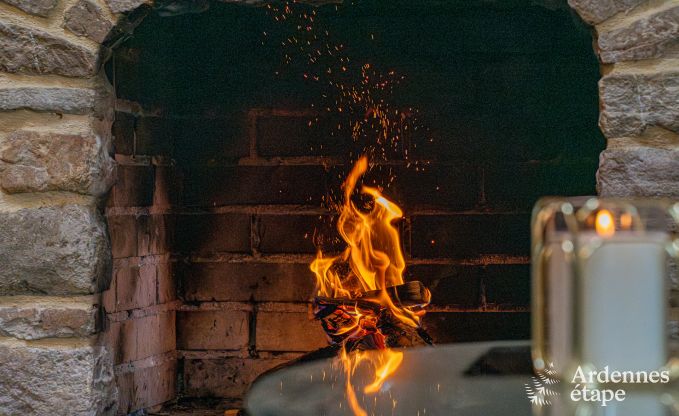 Ruim vakantiehuis voor 32 personen in Ferri�res met 12 slaapkamers, sauna, jacuzzi en speelvoorzieningen