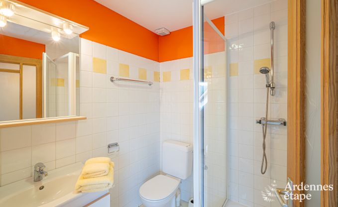 Ruim vakantiehuis voor 32 personen in Ferri�res met 12 slaapkamers, sauna, jacuzzi en speelvoorzieningen