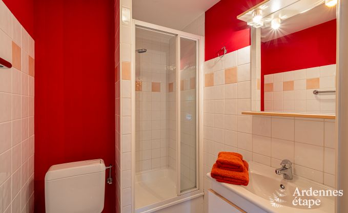 Ruim vakantiehuis voor 32 personen in Ferri�res met 12 slaapkamers, sauna, jacuzzi en speelvoorzieningen