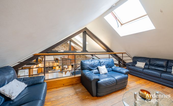 Ruim vakantiehuis voor 32 personen in Ferri�res met 12 slaapkamers, sauna, jacuzzi en speelvoorzieningen