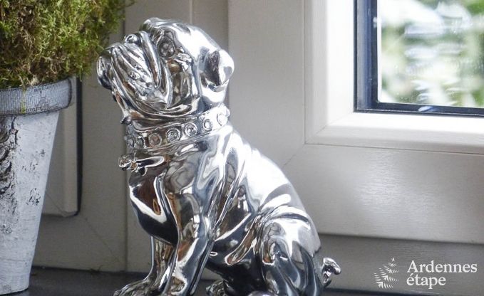 Vakantiehuis in Florenville voor 8 personen in de Ardennen