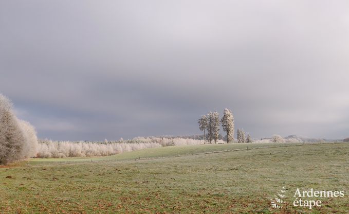 Vakantiehuis in Florenville voor 29/31 personen in de Ardennen