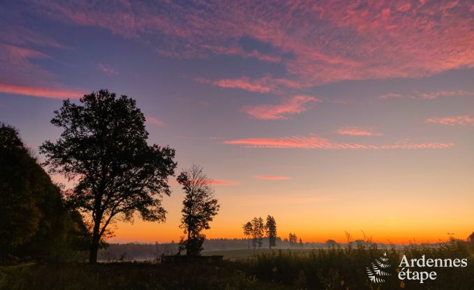 Vakantiehuis in Florenville voor 29/31 personen in de Ardennen