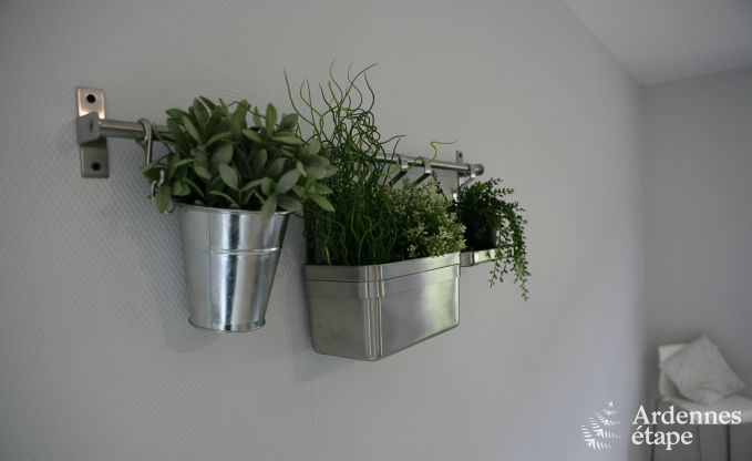 Appartement in Florenville voor 4 personen in de Ardennen