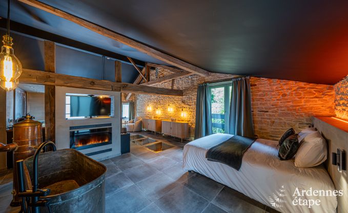 Luxe romantische woning voor 2 personen in Sainte-C�cile, met sauna en jacuzzi