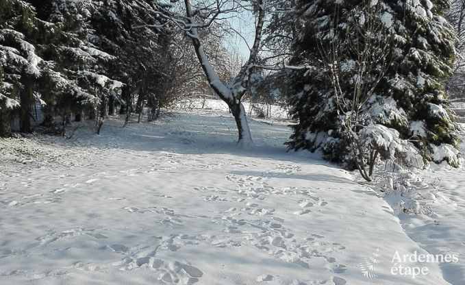 Charmant vakantiehuis voor 5 personen dicht bij Spa-Francorchamps