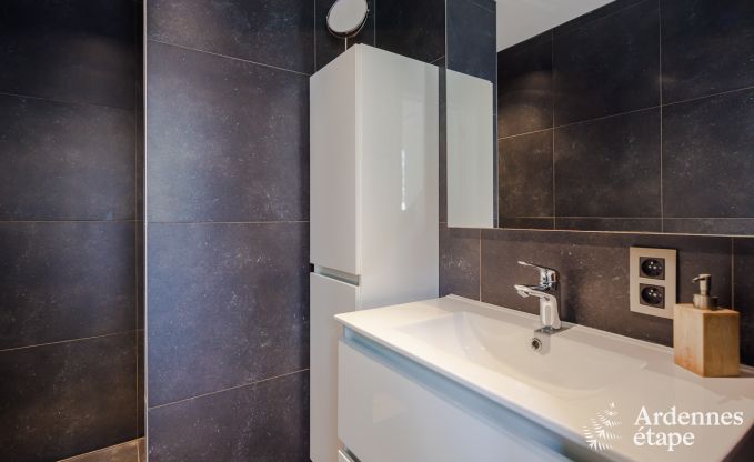 Luxe villa in Frasnes-lez-Anvaing