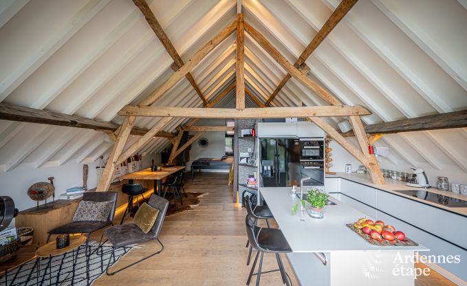 Appartement in Frasnes-lez-Anvaing voor 4/5 personen