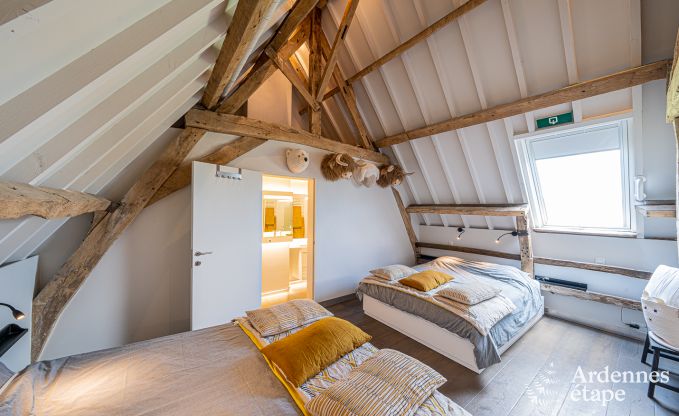 Vakantiehuis in Frasnes-lez-Anvaing voor 16/17 personen