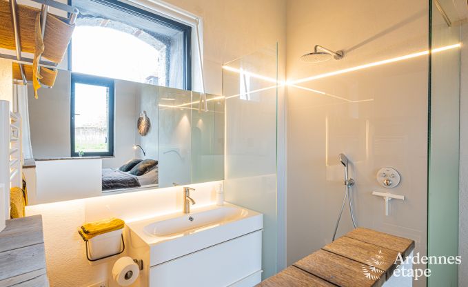 Vakantiehuis in Frasnes-lez-Anvaing voor 20/22 personen in de Ardennen