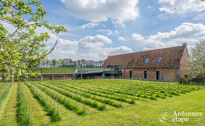 Vakantiehuis in Frasnes-lez-Anvaing voor 20/22 personen in de Ardennen