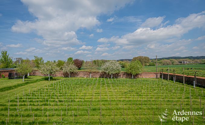 Vakantiehuis in Frasnes-lez-Anvaing voor 20/22 personen in de Ardennen