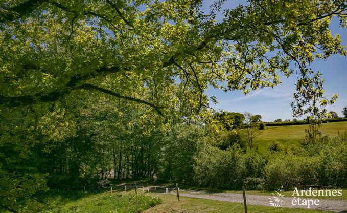 Vakantie op de boerderij in Froidchapelle voor 9 personen in de Ardennen