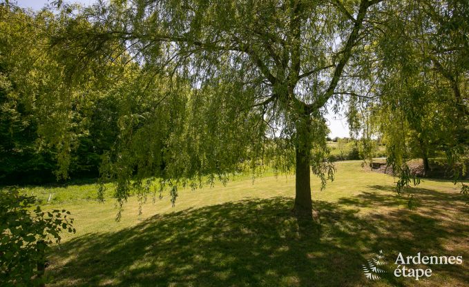 Vakantie op de boerderij in Froidchapelle voor 9 personen in de Ardennen