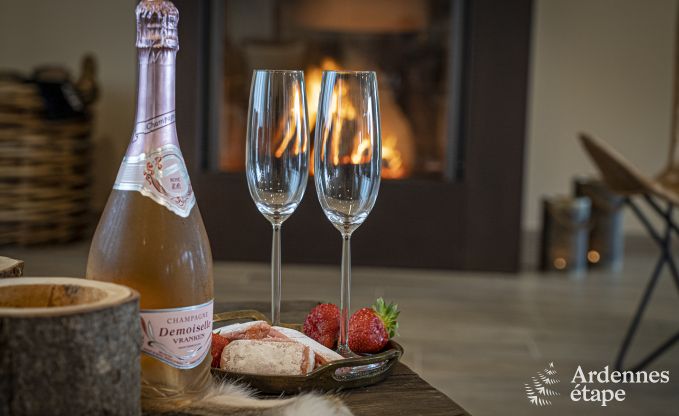 Vakantiehuis in Froidchapelle voor 20 personen in de Ardennen