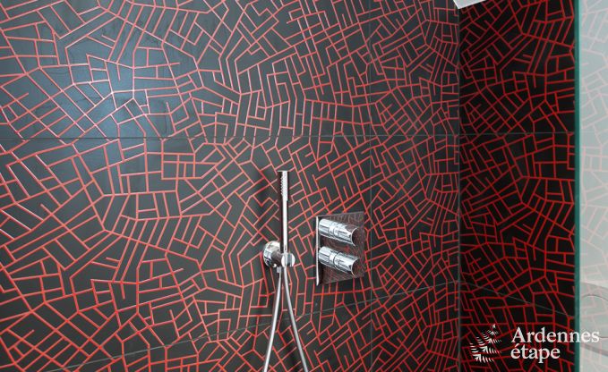 Vakantiehuis in de Ardennen voor 14 p., Lac de l'Eau d'Heure