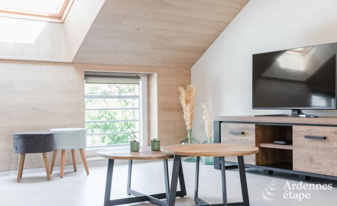 Prachtig vakantieverblijfvoor 10 personen in Rienne, Ardennen