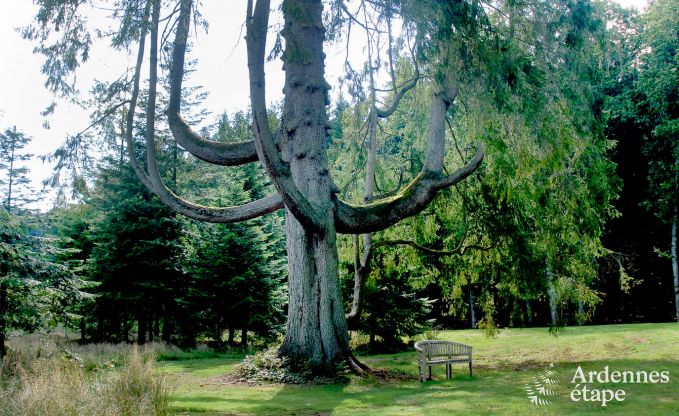 Luxe villa in Gedinne voor 18 personen in de Ardennen