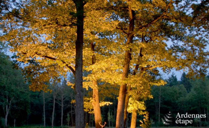 Luxe villa in Gedinne voor 18 personen in de Ardennen