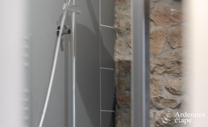 Vakantiehuis in Gedinne voor 13 personen in de Ardennen