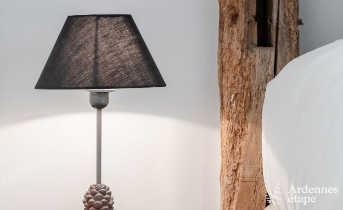 Vakantiehuis in Gedinne voor 13 personen in de Ardennen