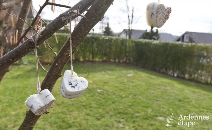 Vakantiehuis in Gemmenich voor 4/6 personen in de Ardennen