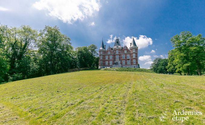 Fantastisch kasteel voor 40 personen in Gesves (Ardennen)