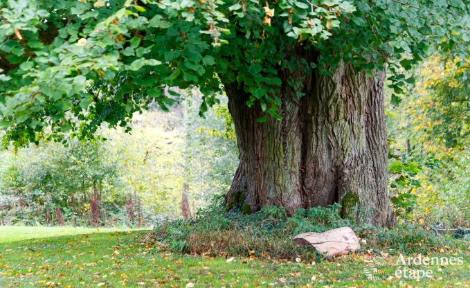 Vakantiehuis in Gesves voor 8/9 personen in de Ardennen