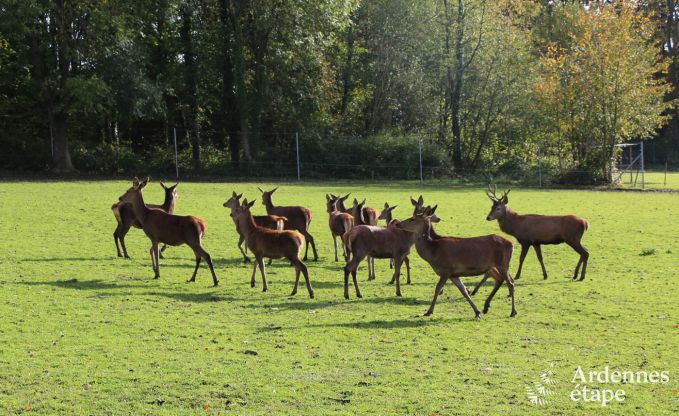 Vakantiehuis in Gesves voor 8/9 personen in de Ardennen