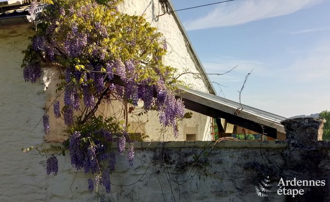 Vakantiehuis in Gouvy voor 9 personen in de Ardennen