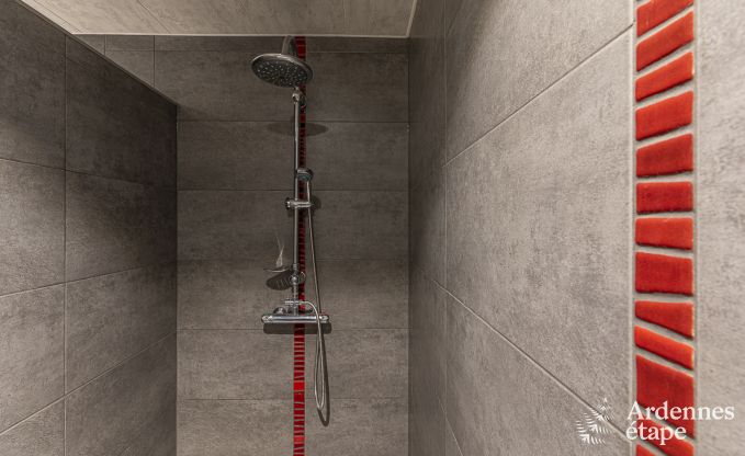 Vakantiehuis voor 8/9 personen dicht bij Bouillon in de Ardennen