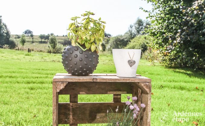 Vakantiehuis in Habay voor 9 personen in de Ardennen