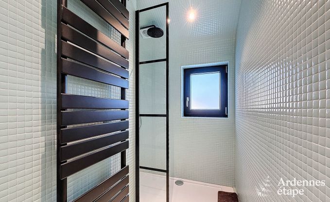 Ruim vakantiehuis in Han-sur-Lesse voor 8 personen met 4 slaapkamers, privtuin en terras