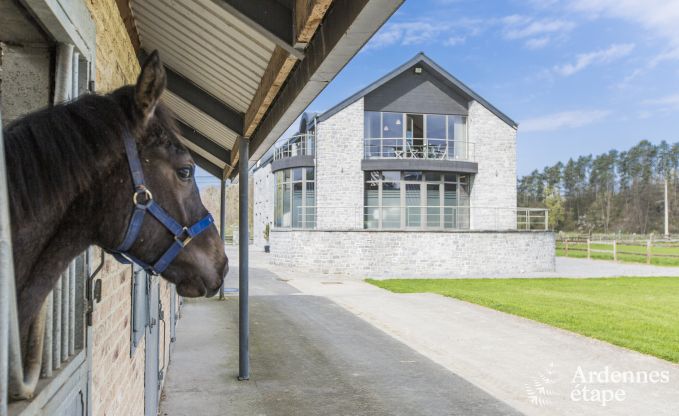Ruime vakantiehuis bestaand uit twee aan elkaar geschakelde gebouwen in Han-sur-Lesse voor 13 personen met binnenzwembad