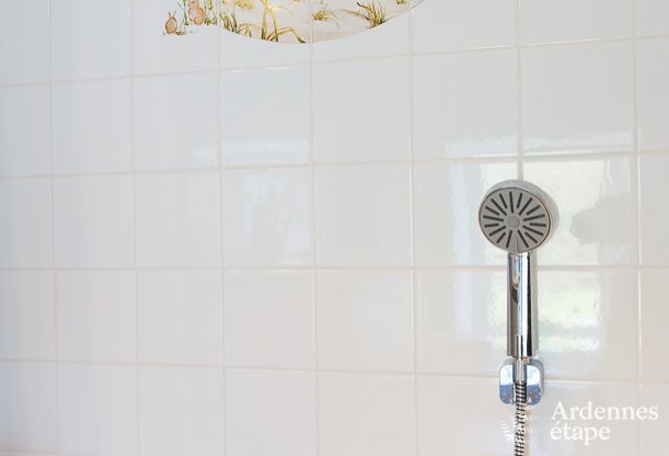 Vakantiehuis in Hannut voor 21 personen in de Ardennen