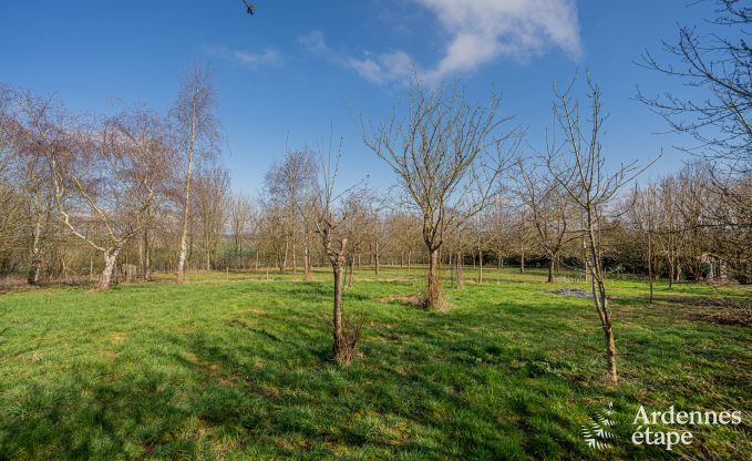 Ruime luxe villa met zwembad in Hastire, Ardennen