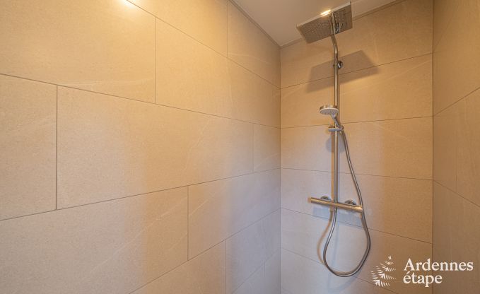 Ruime luxe villa met zwembad in Hastire, Ardennen